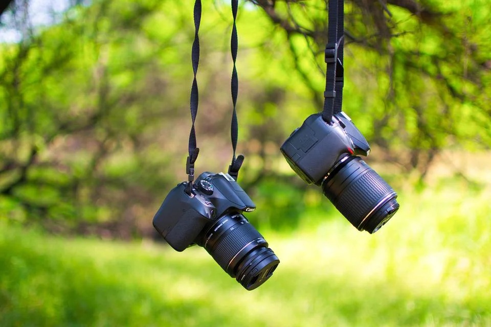 How to Get the Most Out of Your DSLR for Photography